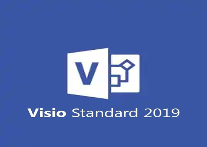 Medialess Microsoft Visio Standard 2019 Product Key For Windows 10 1 PC