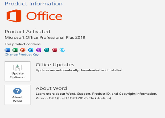 1pc Office 2019 Professional Plus Compatible With Word Excel PowerPoint OneNote Outlook