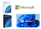 DirectX 12 Microsoft Windows 11 Professional 64Bit USB Drive SKU-HAV-00029