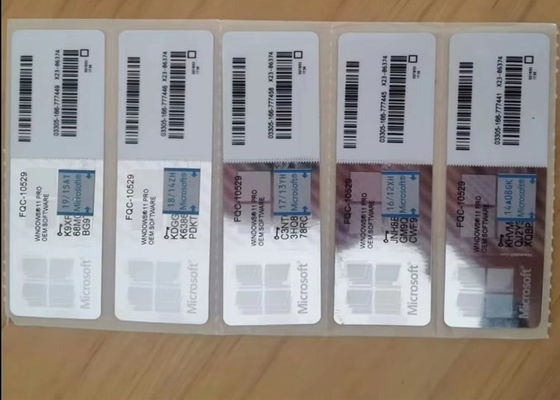 Microsoft Win 11 Pro / Home OEM Key License