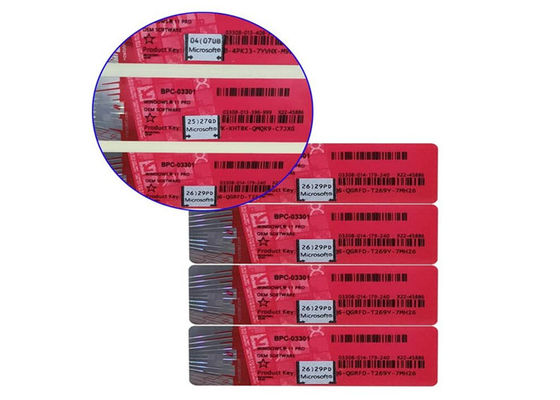 Microsoft Win 11 Pro / Home OEM Key License